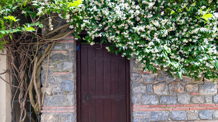 Fototapeta na wymiar Doors and windows of old houses between Ivy and Jasmine