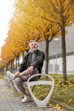 Portrait Of A Contented Older Gentleman Amidst Autumn Trees. Mid-Adult Stylish White Bearded Man, In A Leather Jacket, Sitting On A Bench And Enjoying Autumn's Delight.