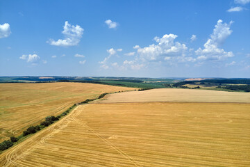 Aerial landscape view of yellow cultivated agricultural field with dry straw of cut down wheat after harvesting