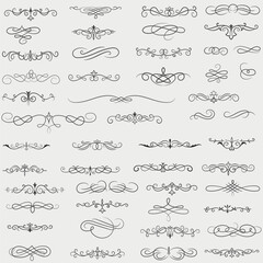 Vector illustration graphic elements for design, Swirl elements decorative illustration