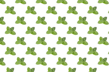 pattern of mint leaves, plant, isolated on white © Orest
