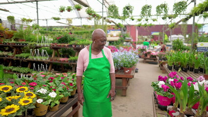 Fototapeta na wymiar A happy Senior African American Employee in Green Apron Poses in a Spacious Local Plant Shop