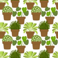 Houseplant seamless pattern on white background. Botanical garden wallpaper.
