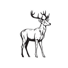 Naklejka na ściany i meble Vector image of an deer in cartoon, doodle style. Black and white. Logo, icon style