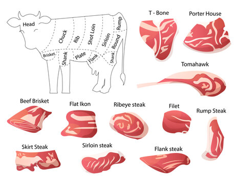 Beef cuts diagram, slices of beef, loin, sirloin, ribeye, skirt steak, flank steak, porterhouse, vector illustration