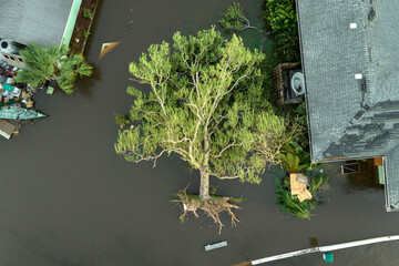 Natural disaster and its consequences. Hurricane Ian flooded house and fallen tree in Florida...