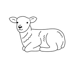 Vector isolated one single cute cartoon lying baby sheep lamb colorless black and white contour line easy drawing