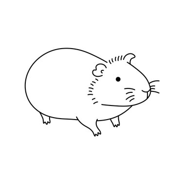 Vector isolated one single cute cartoon guinea pig hamster pet colorless black and white contour line easy drawing
