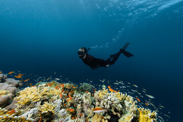 Free diver swimming into the deepness with corals.