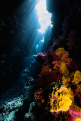 Fototapeta na wymiar Beautiful colored coral reefs and cave in Egypt.