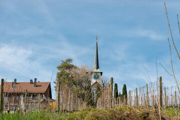 Little church in Seegraeben in Zurich in Switzerland