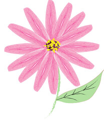 Flower illustration art