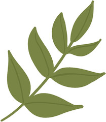 Obraz premium green leaves isolated on white background