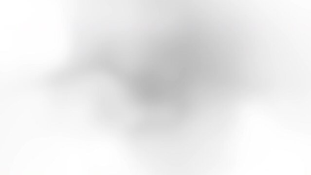 White grey silver material gradient mesh abstract motion background. Seamless loop