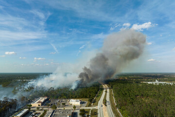 View from above of lagre wildfire burning severely in North Port city, Florida. Hot flames in...