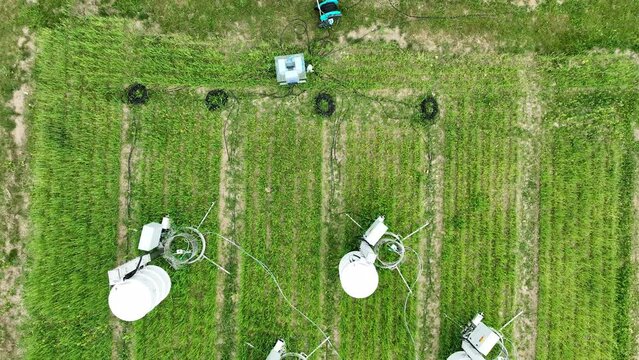 Scientific measurement respiration wheat common agriculture field Triticum aestivum soil science station scientist working technology work earth technological monitoring carbon dioxide oxide oxygen