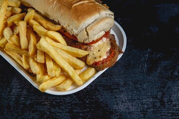 Milanesa Lomito Sandwich from argentina with french fries