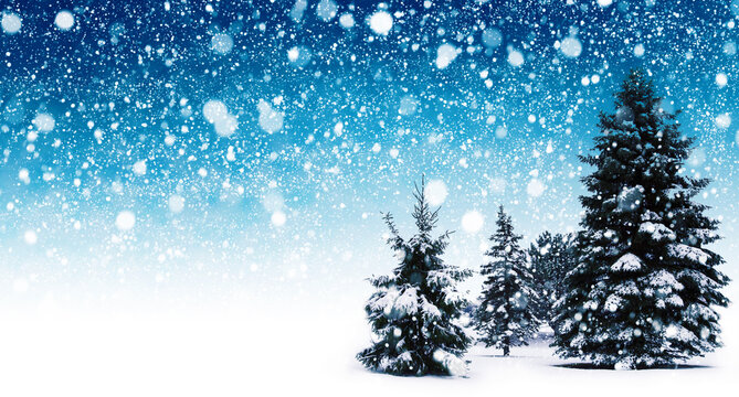 Winter snow background with trees. Beautiful Christmas and New Year abstract.