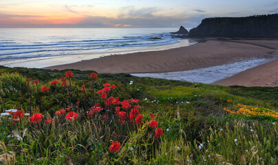 Plakat Pink sunset ocean scenery and summer Odeceixe beach (Aljezur, Algarve, Portugal).