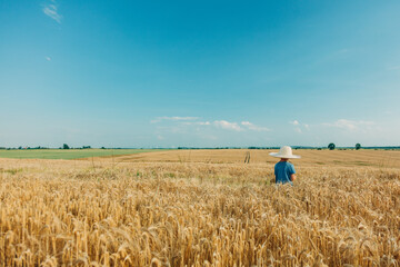 Little boy in hat in wheat field in summer time