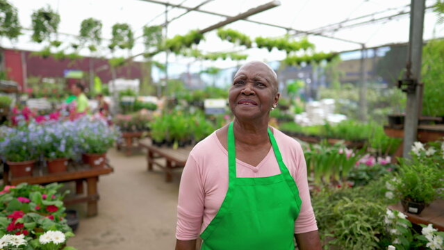 One Black Older Female Employee Walking At Flower Shop Wearing Green Apron. An African American Woman Strolling Through Plant Store