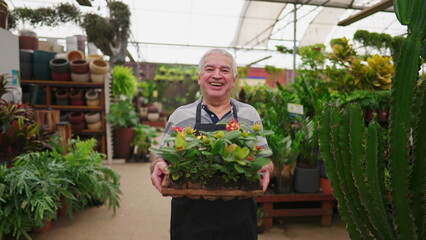 Mature Florist Man with Flower Basket in Plant Greenhouse Store. Local business shop