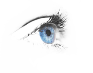 Blue pupil. Blue eye close-up isolated. Macro 