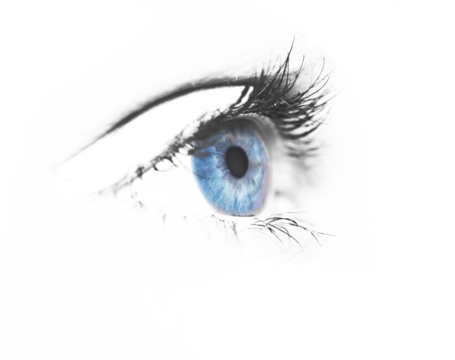 Blue pupil. Blue eye close-up isolated. Macro 