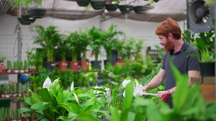 Male Customer Walking in Horticulture Store aisle with shopping Cart. Dynamic tracking shot of Young Man Seeking Plants at Local Gardening Shop