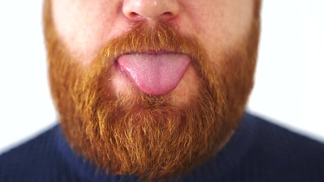 Red bearded man sticking tongue out, close up, white background