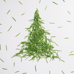 Green tree of the needles on a white background