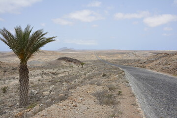 Route 66 Cape Verde on Boa Vista