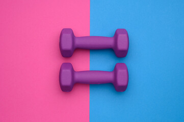 The layout of two rubberized dumbbells of 2 kg of purple color on a blue-pink background, top view. Sports training
