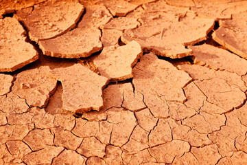 Close up shot of some dried earth