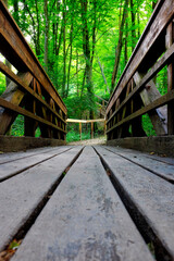 Fototapeta na wymiar Wooden bridge through the forest