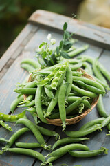 green peas on a wooden table