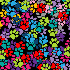 Illustration paw prints in various colors as a background.