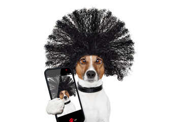 bad hair day dog ready to look beautiful at the wellness spa salon, isolated on white background, taking selfie with smartphone or tablet