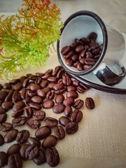 coffee beans and cup