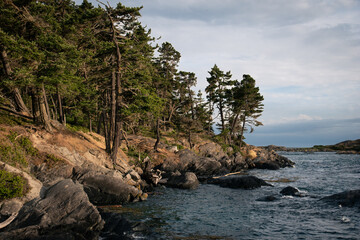 Rocky Cliff San Juan Islands, Washington