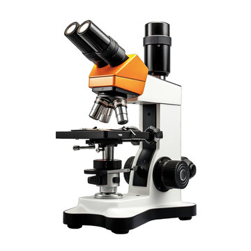  a compound microscope with two eyepieces for shared viewing