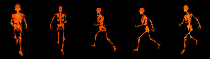 3d render walking fire skeleton by X-rays in red