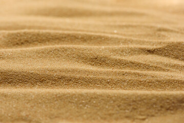 Lines in the sand of a beach. Close up texture