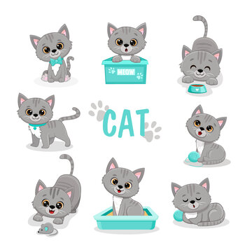  Set of funny cute cats in different poses in cartoon style. Gray kitten.