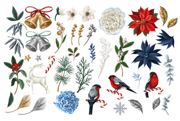 Big botanical set of Christmas elements. Vector.