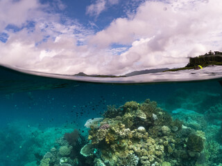 Fototapeta na wymiar Clear turquoise water, vibrant coral reef, colorful fishes, Kioa Island, tropical paradise in Fiji.