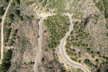 overhead photo of a road through a pine forest