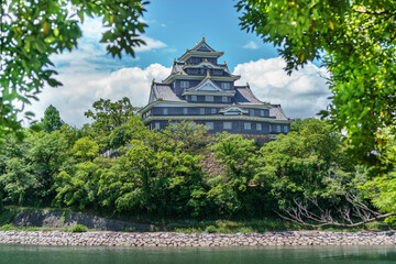 Closeup view of Okayama castle behind trees in Japan