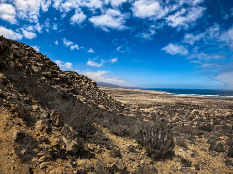 Llanos de Challe, Atacama