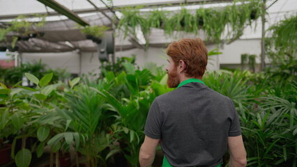 Back of a male employee walking through isle of horticulture store. Young man strolling through Flower Shop gardening supply. Local Business concept